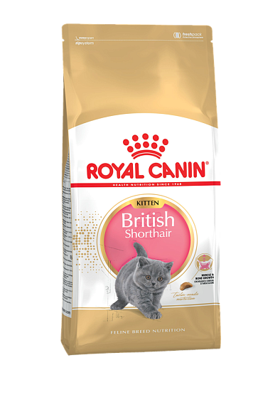 British Shorthair Kitten для британских короткошерстных котят до 12 месяцев, 10 кг